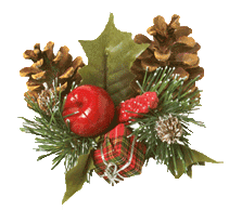 noel1
